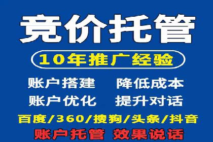 百度竞价赚钱的技巧与成功案例探讨